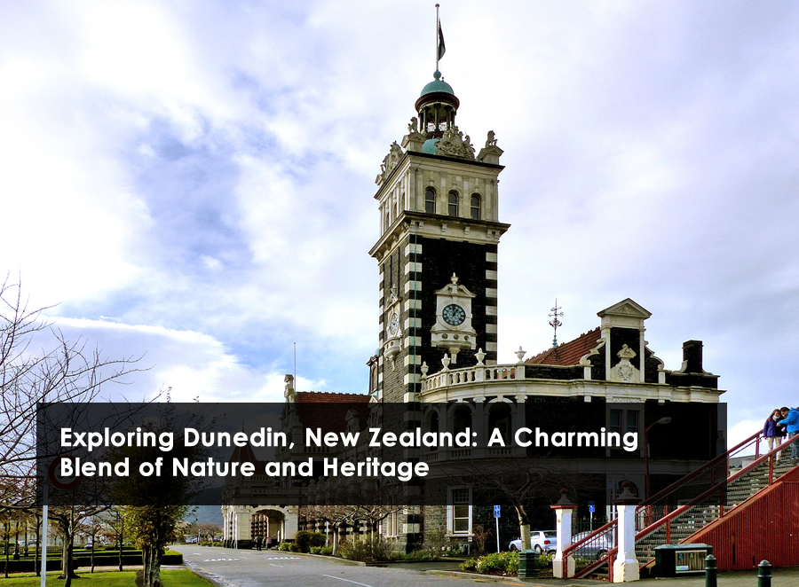Exploring Dunedin, New Zealand: A Charming Blend of Nature and Heritage